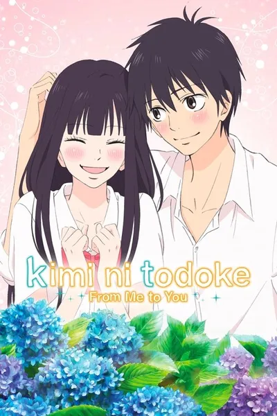 Kimi ni Todoke: From Me to You